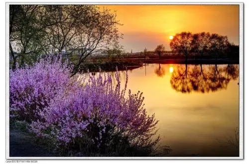 u=646811558,1527567165&fm=26&fmt=auto.webp u=646811558,1527567165&fm=26&fmt=auto.webp.jpg