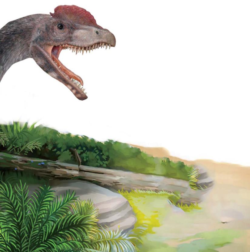 pagenumber_ebook=123,pagenumber_book=112