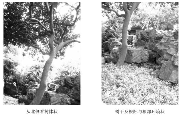 pagenumber_ebook=143,pagenumber_book=143