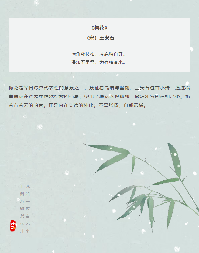 image.png?v=1766278431556