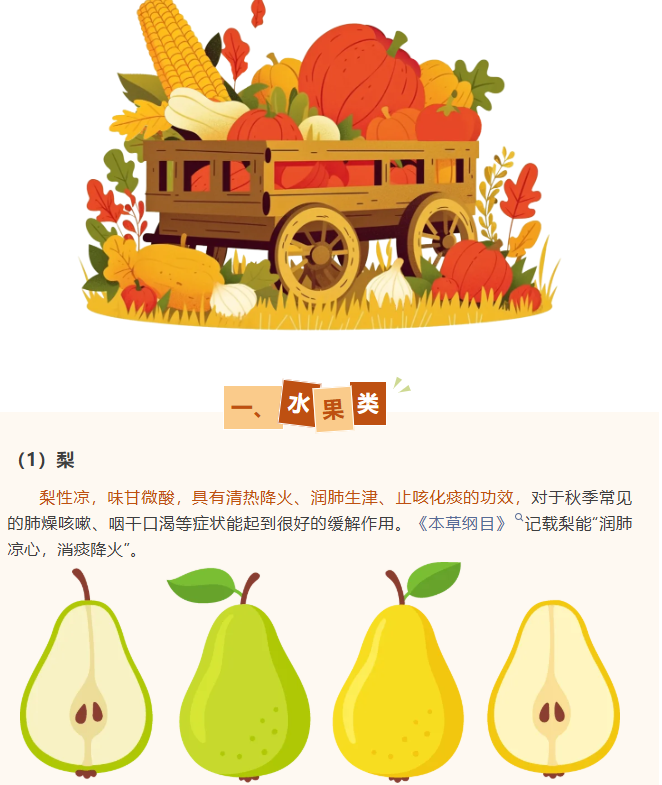 image.png?v=1762125929594