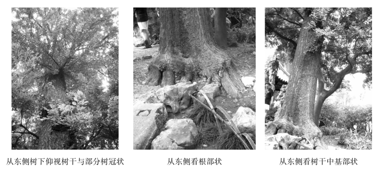 pagenumber_ebook=96,pagenumber_book=96