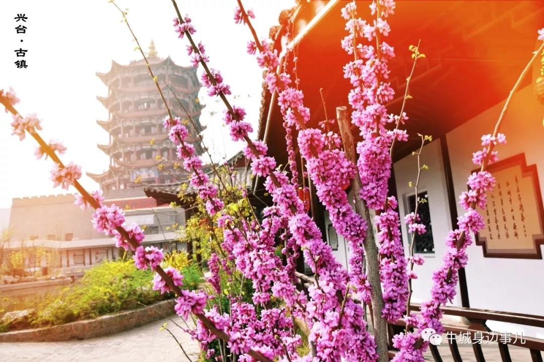 微信图片_20201022202910 微信图片_20201022202910.jpg