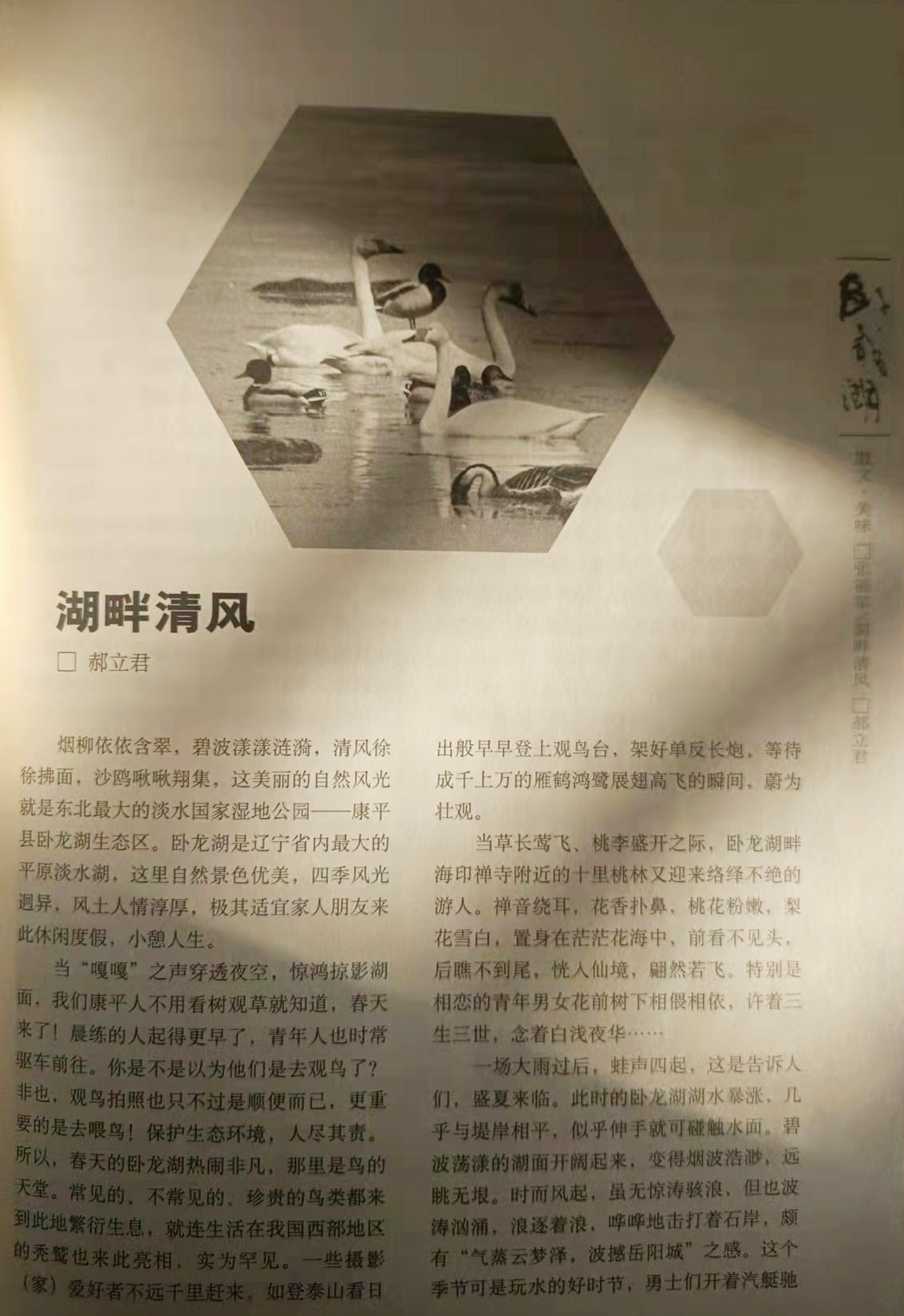 465c9049defcd720d9676e06ddca7cd 465c9049defcd720d9676e06ddca7cd.jpg