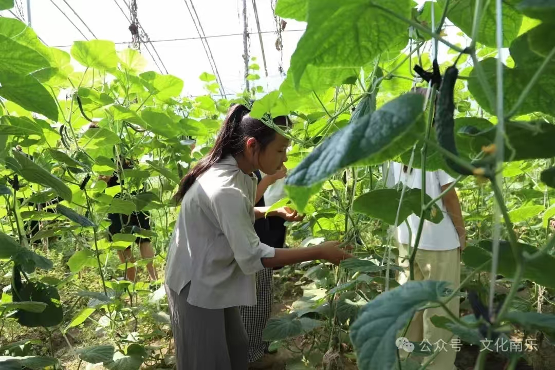 微信图片_2025-08-18_091508_401 微信图片_2025-08-18_091508_401.jpg