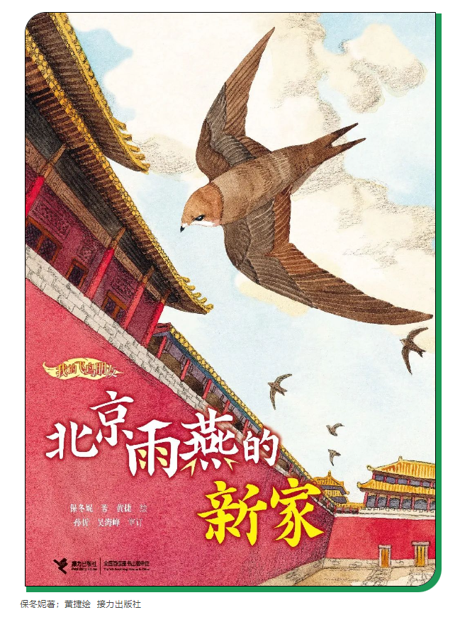 image image.png?v=1763548607152