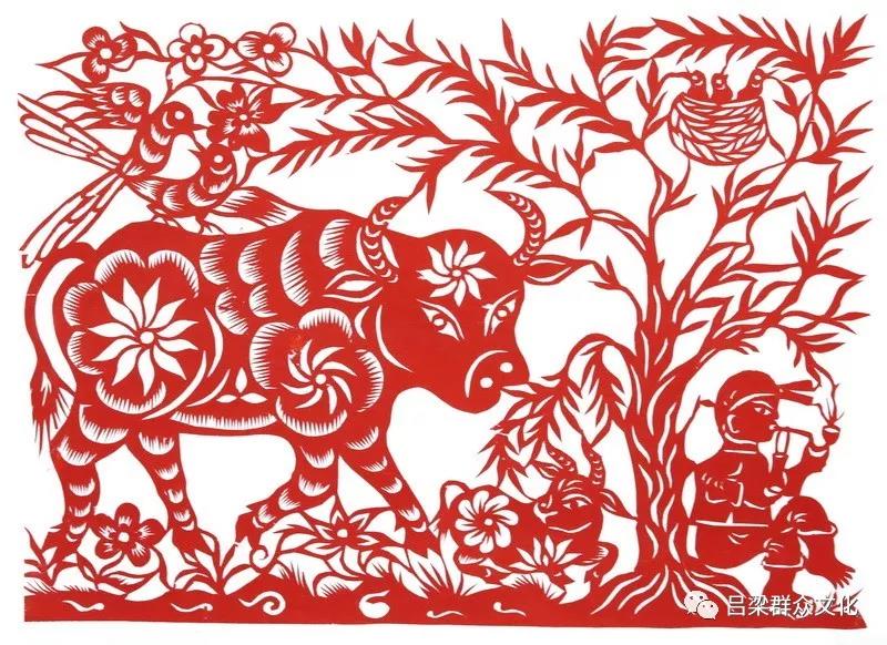 5 5.jpg?v=1764880375457