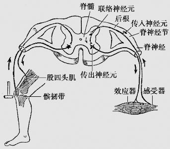pagenumber_ebook=37,pagenumber_book=24