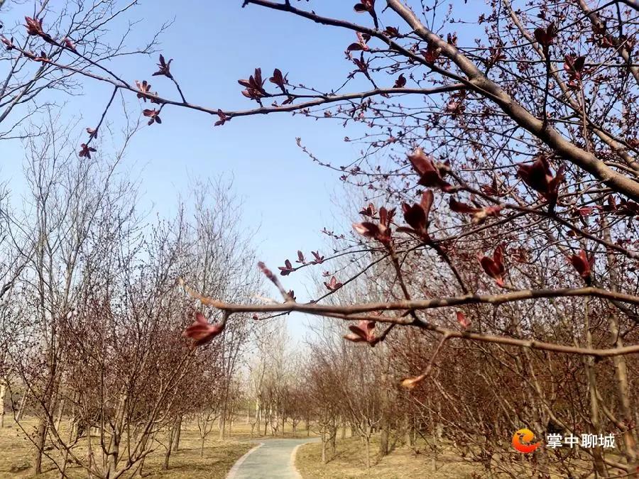 微信图片_20210308084924 微信图片_20210308084924.jpg