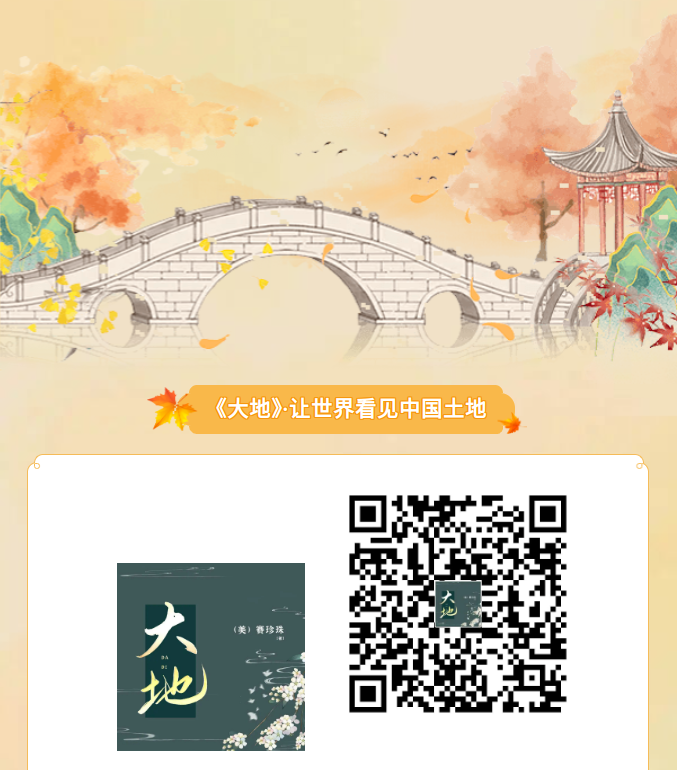 image.png?v=1790294193330
