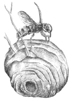 pagenumber_ebook=26,pagenumber_book=10