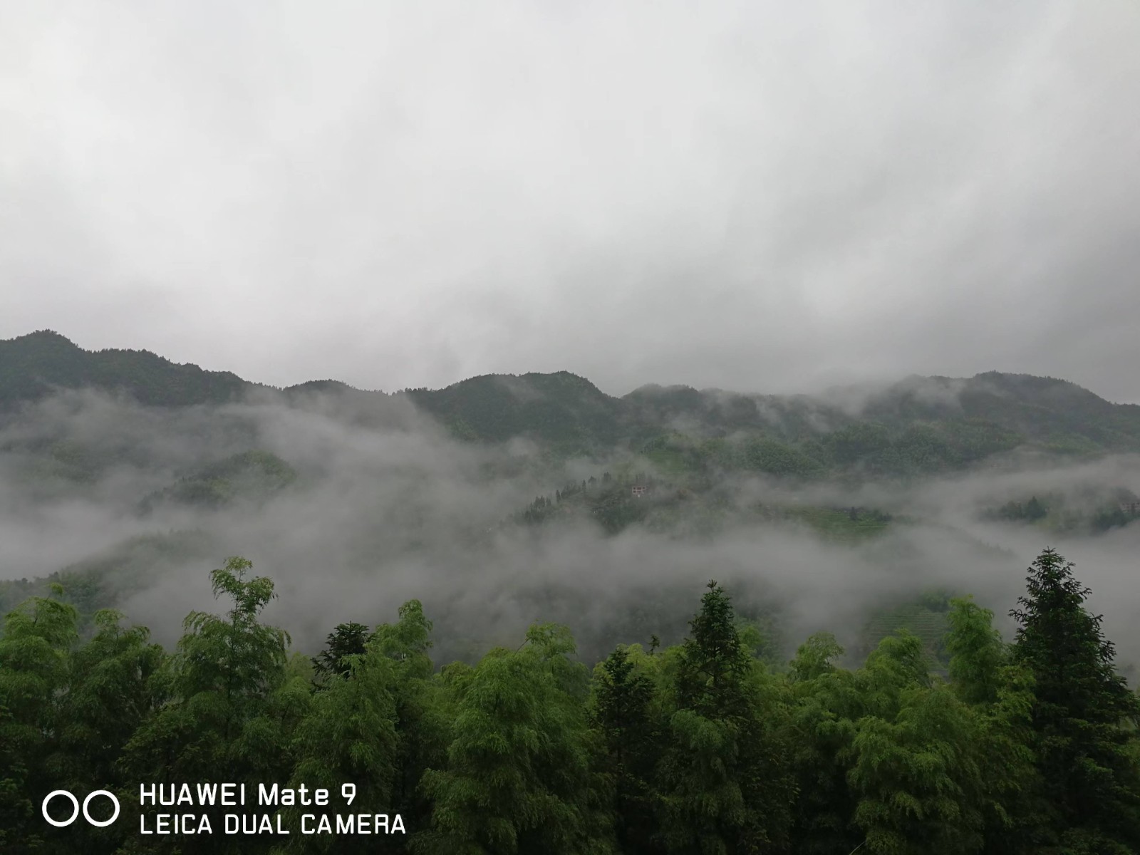 微信图片_20241217002450