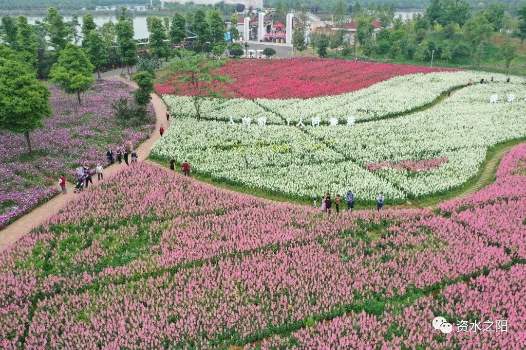 6 6.jpg?v=1765946524964