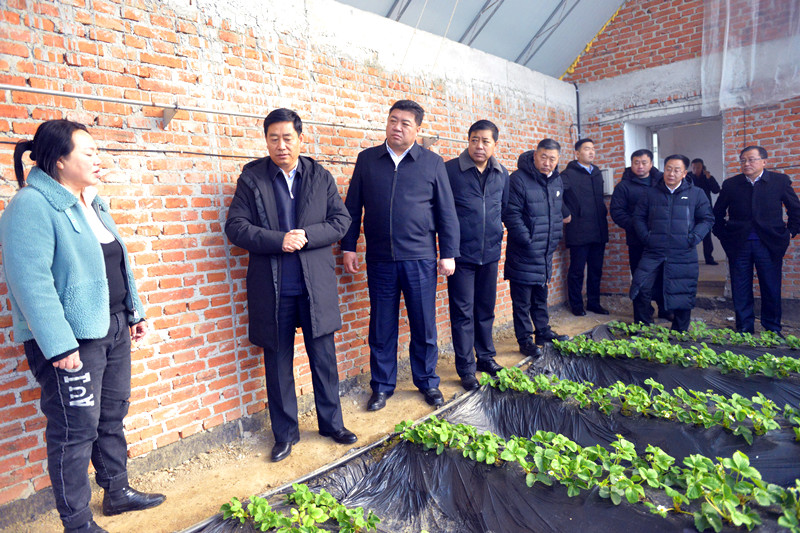 W020191127349346282937