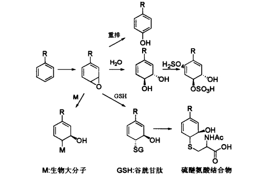 pagenumber_ebook=557,pagenumber_book=539