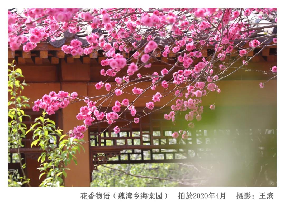 微信图片_20211128100409