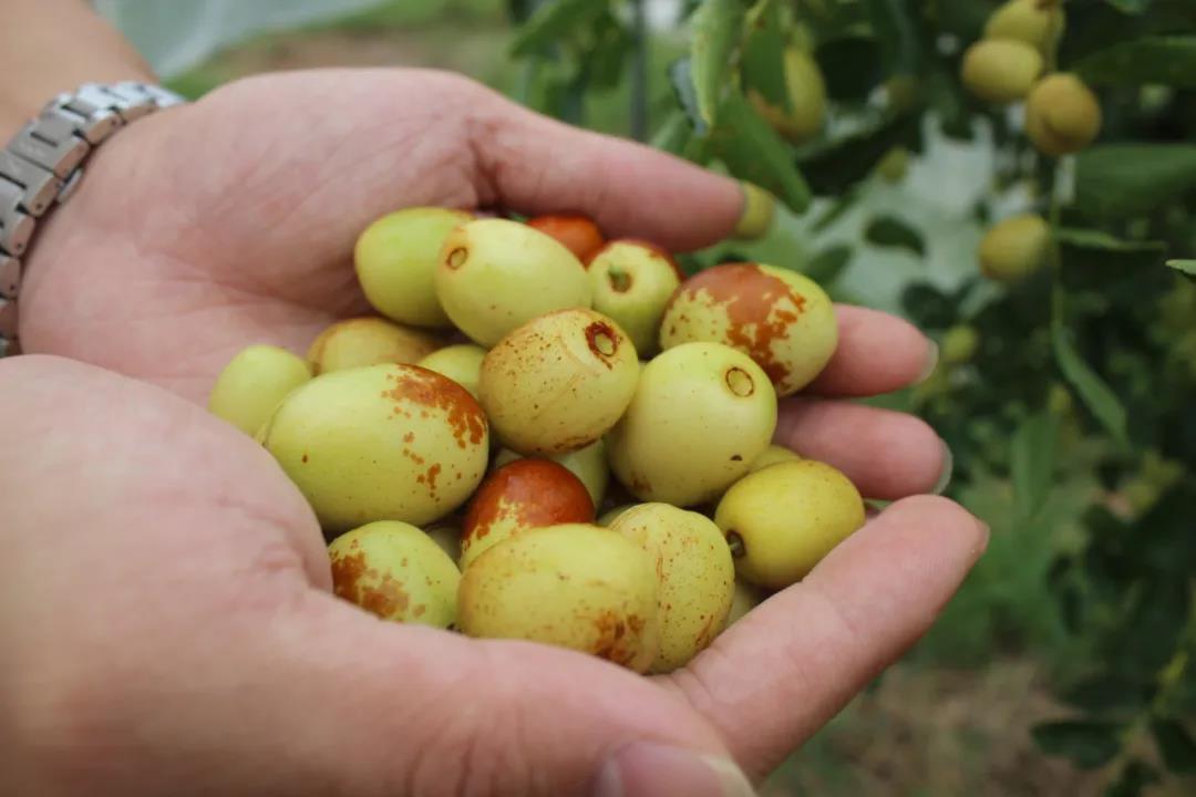 微信图片_20200917001405