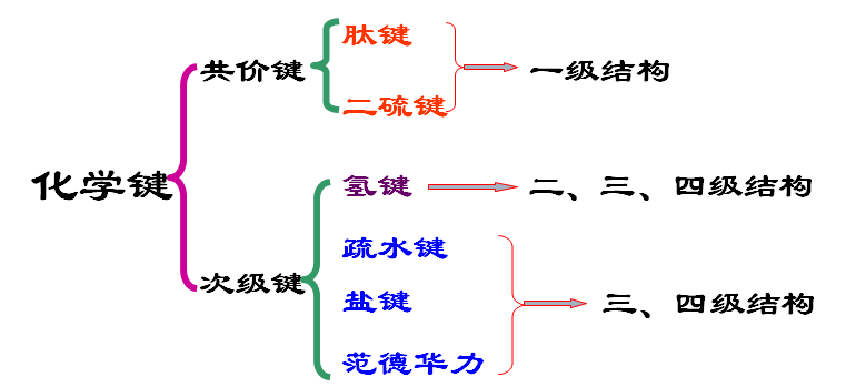 全屏显示课程章节