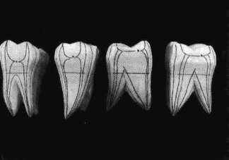 pagenumber_ebook=209,pagenumber_book=200