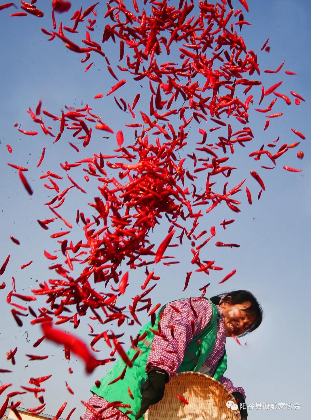 微信图片_20211222111411