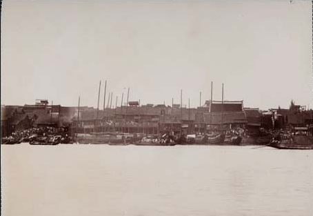 母亲河 母亲河.png