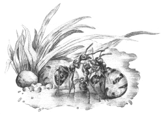 pagenumber_ebook=255,pagenumber_book=239