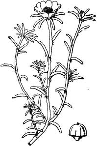 pagenumber_ebook=201,pagenumber_book=201