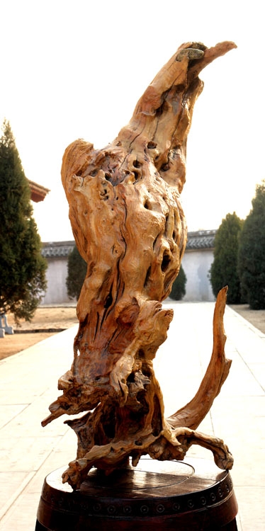 微信图片_202103151005281