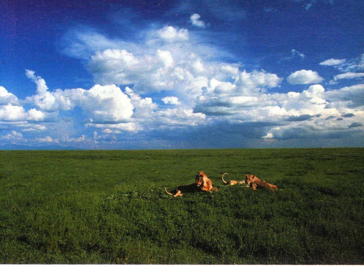 pagenumber_ebook=174,pagenumber_book=165