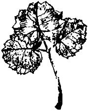 pagenumber_ebook=276,pagenumber_book=276