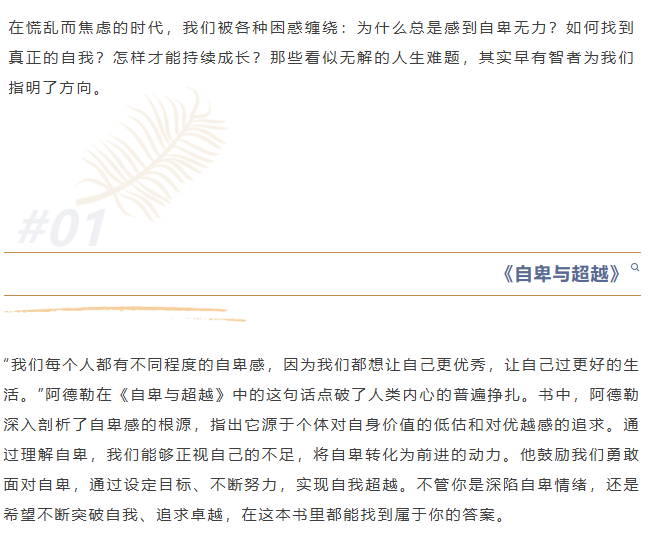 image.png?v=1766278389274