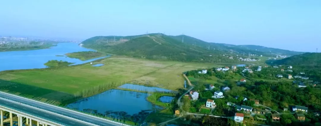 心动不如行动 心动不如行动.png