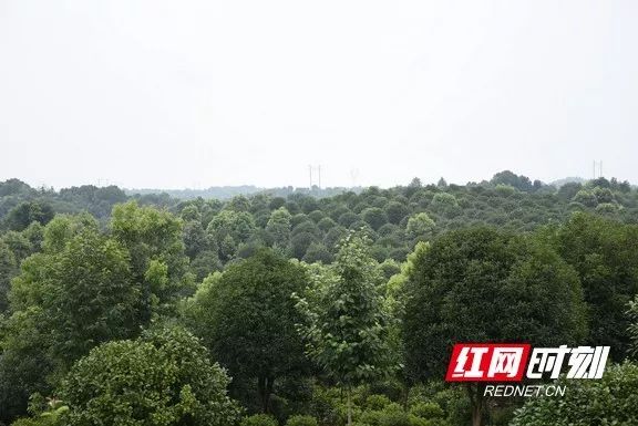 5 5.jpg?v=1765897826366