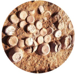 图片38 图片38.png