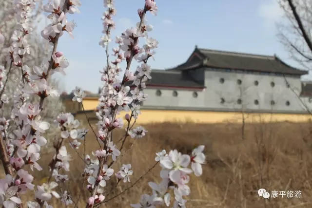 640.webp 640.webp.jpg