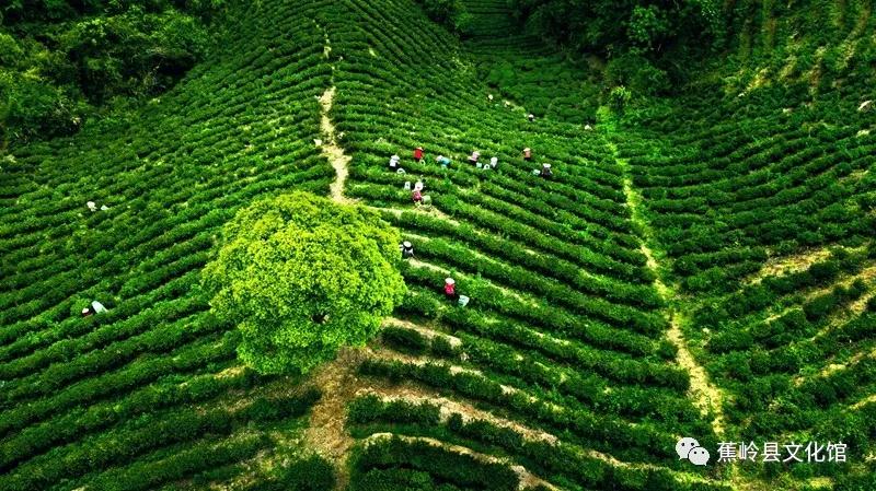 24 24.jpg?v=1765891042459