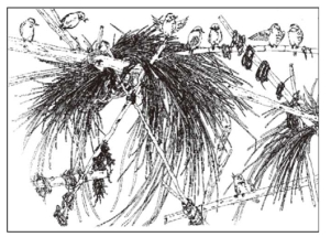 pagenumber_ebook=20,pagenumber_book=13