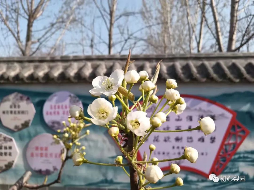 微信图片_20220331090940