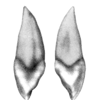 pagenumber_ebook=28,pagenumber_book=19