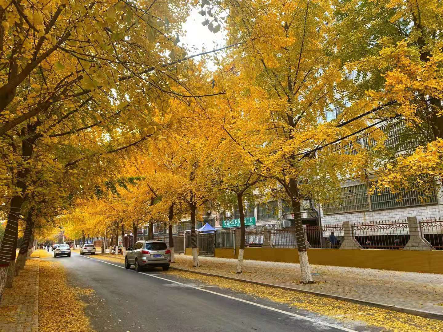 cc974d3695bcf354dd5193444b8c274