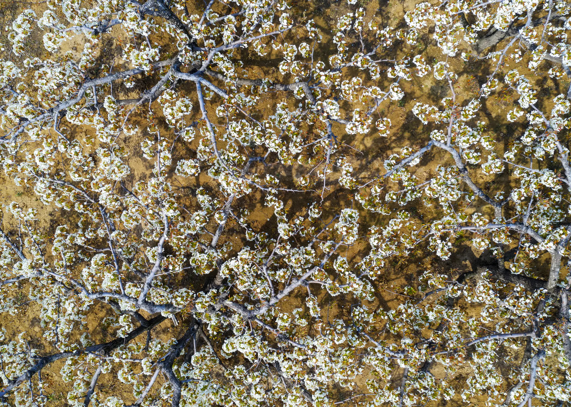 1_看图王 1_看图王.jpg