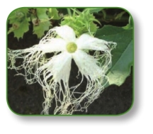 pagenumber_ebook=40,pagenumber_book=27