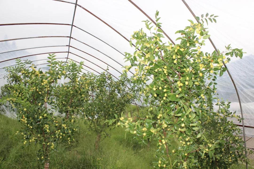 微信图片_20200917001356 微信图片_20200917001356.jpg