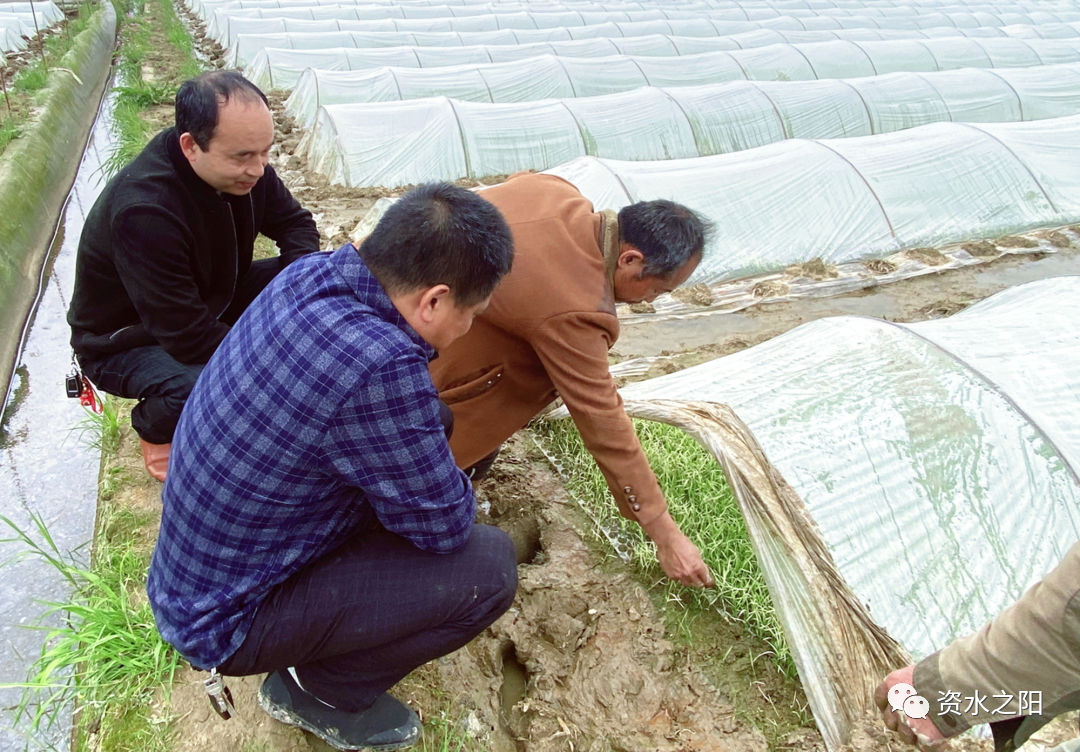 2 2.png?v=1765880879460