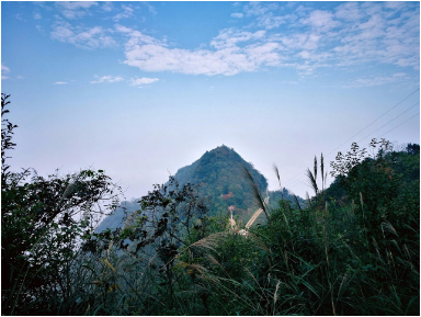 微信图片_20200614094946