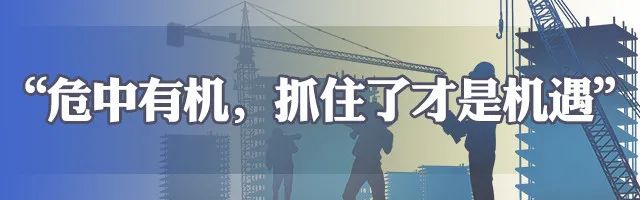 3333 3333.jpg?v=1765960245361