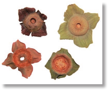 pagenumber_ebook=147,pagenumber_book=134