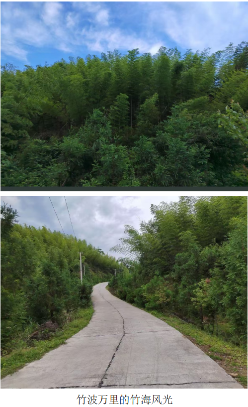 1732190861732 1732190861732.png