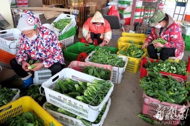 5 5.jpg?v=1765925647346