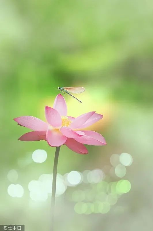 c8703f18ed8efcd2fe8ba6d83f116fa1 c8703f18ed8efcd2fe8ba6d83f116fa1.jpg